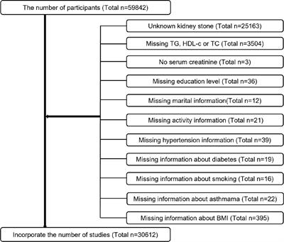 Is the METS-IR Index a Potential New Biomarker for Kidney Stone Development?